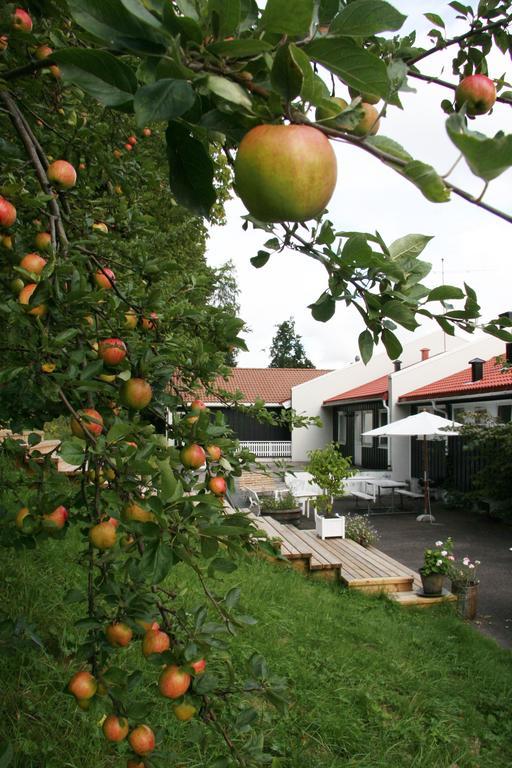 Auberge de jeunesse Vandrerhjem Tønsberg